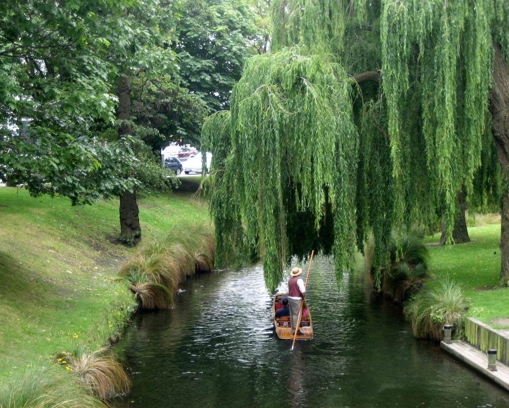 Punting on the Avon -- magic!