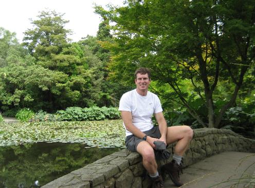 Lily pond with stone bridge