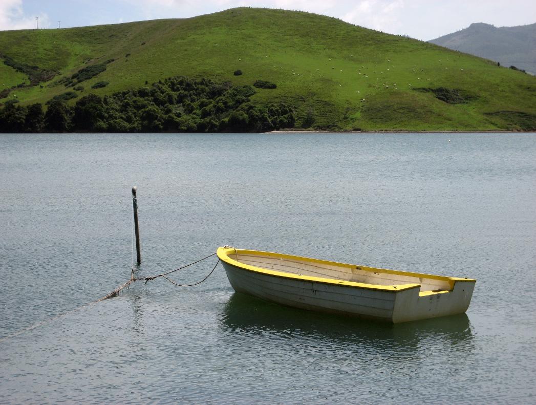 Robin took this lovely photo on the Otago Peninsula near Dunedin