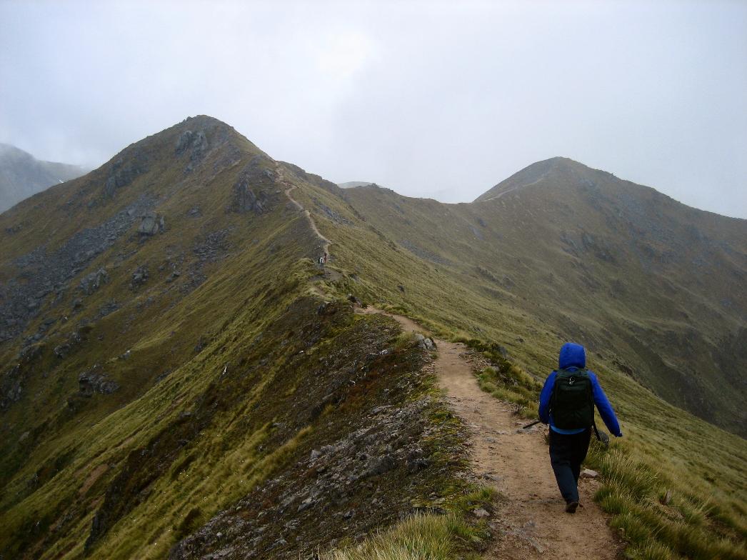 Robin tramps across the exposed ridge of the Kepler Track