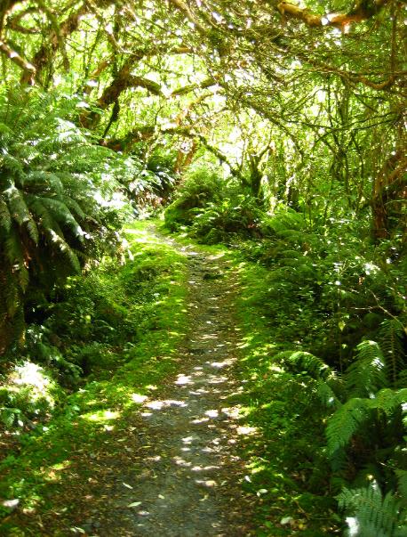 What a variety of scenery! The forests are magical here.