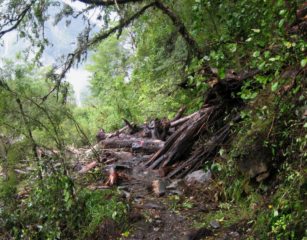 Avalanche damage blocks the trail (Day 4)