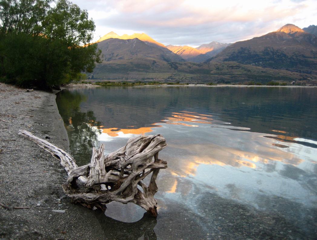 Sunset with driftwood along the shore of Lake Wakatipu