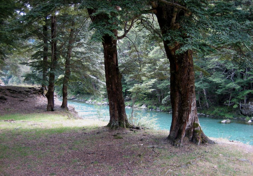 Soft grass beckons by a blue stretch of river