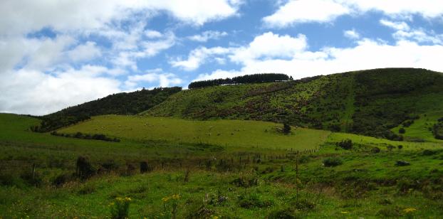 I imagine only New Zealand and Ireland have pastures this green