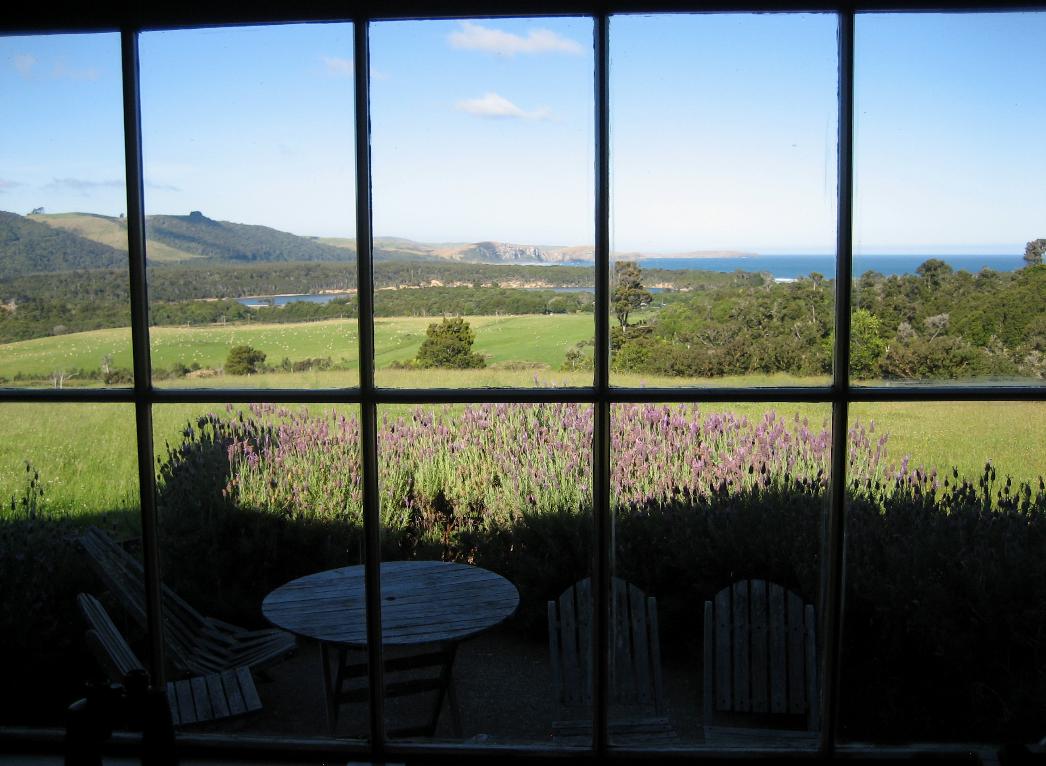 We spent a lot of time looking out at this lovely view from Hilltop Backpackers