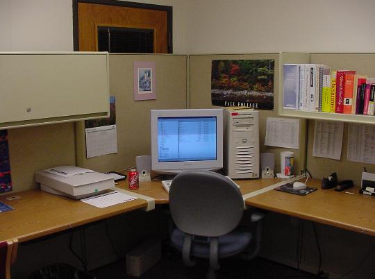 Goodbye cubicle, hello world!