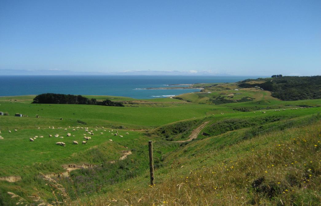 Classic Catlins scenery, mixing green pastureland and rugged coastline